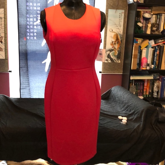 princess polly baby blue dress CALVIN KLEIN bodycon dresses for women  outlet online  shop at Booztlet